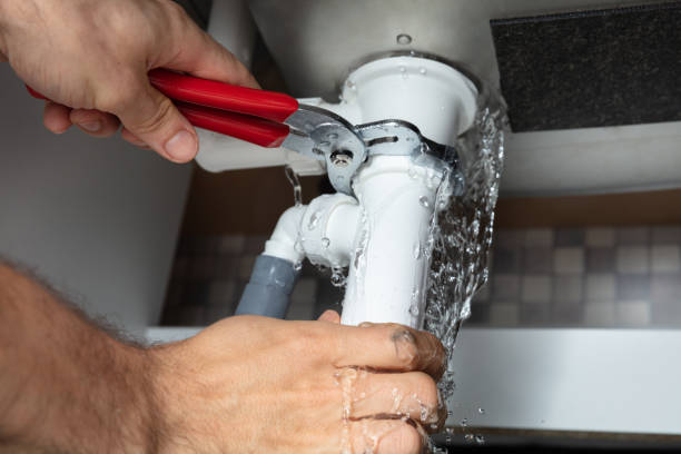 Best Water damage contractors near me  in Dano, CO
