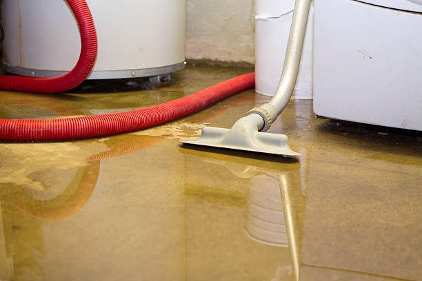 Best Sewage cleanup and water damage restoration  in Dano, CO